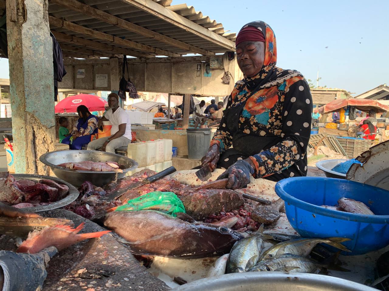 Masculinité positive : Ces hommes engagés en faveur des droits des femmes  