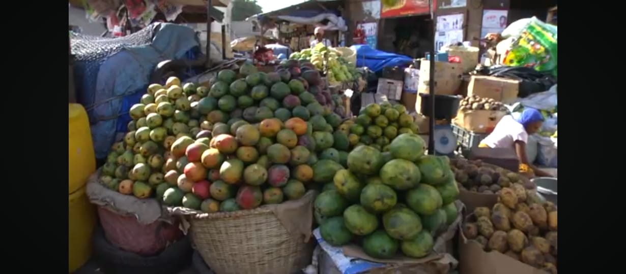 Les mangues arrivent sur les étals     