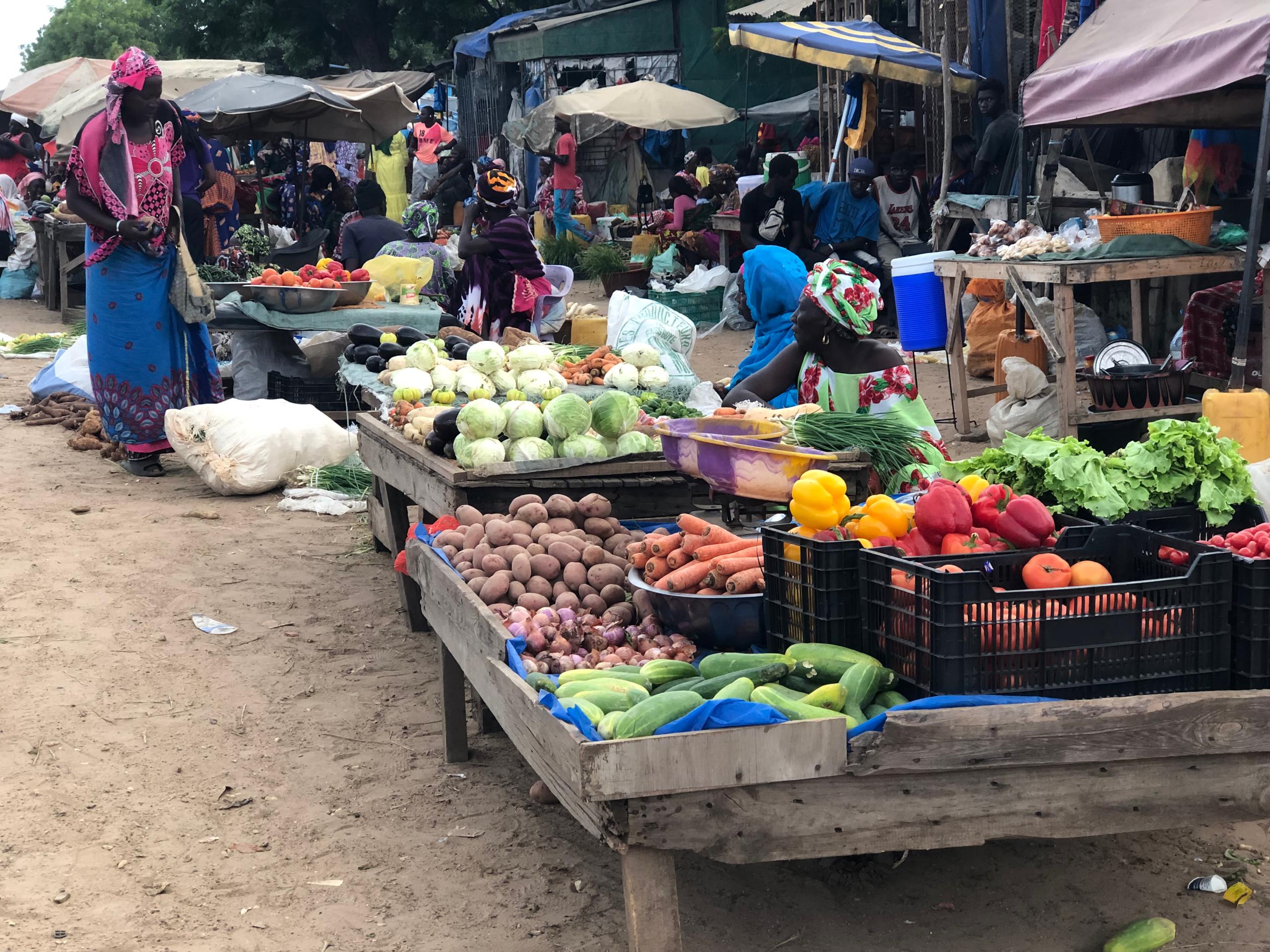 A Darou Khoudoss Mboro, les femmes au cœur du commerce maraîcher   